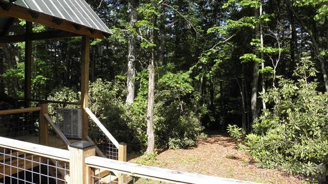 Image number 12 for the current listing