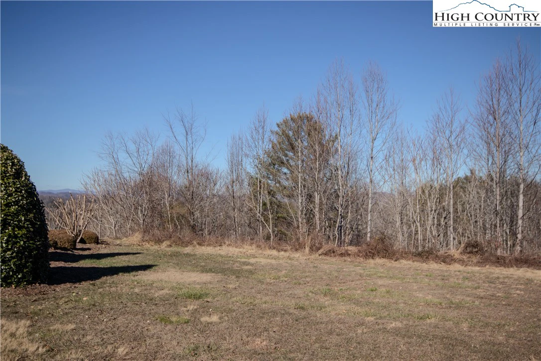 Image number 1 for the current listing
