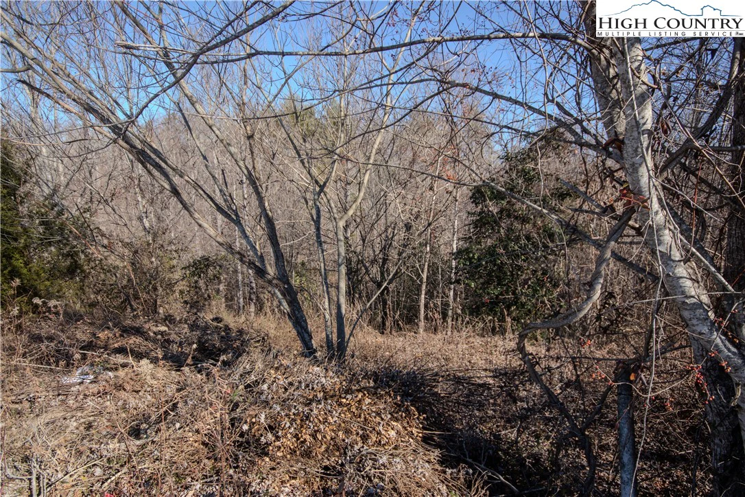Image number 3 for the current listing