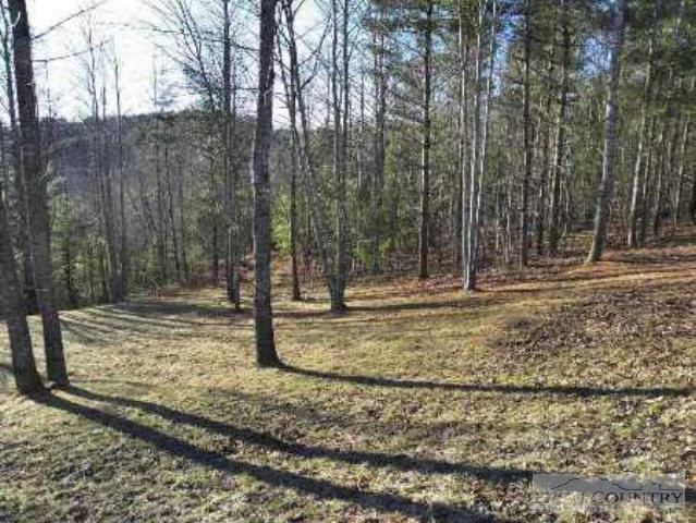 Image number 14 for the current listing