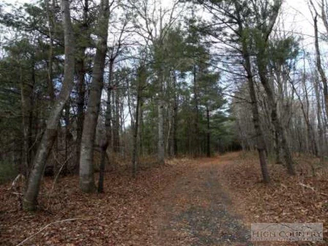 Image number 13 for the current listing