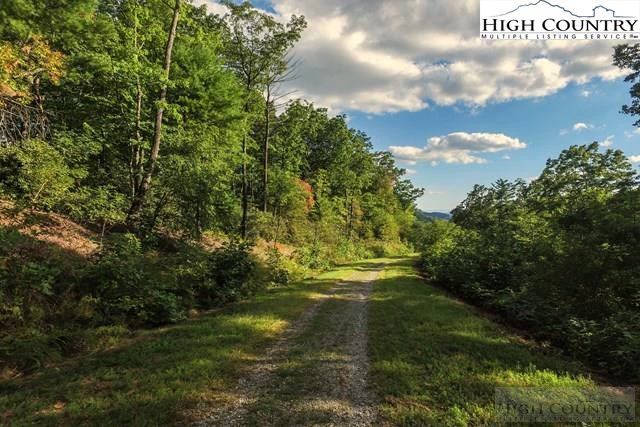 Image number 5 for the current listing