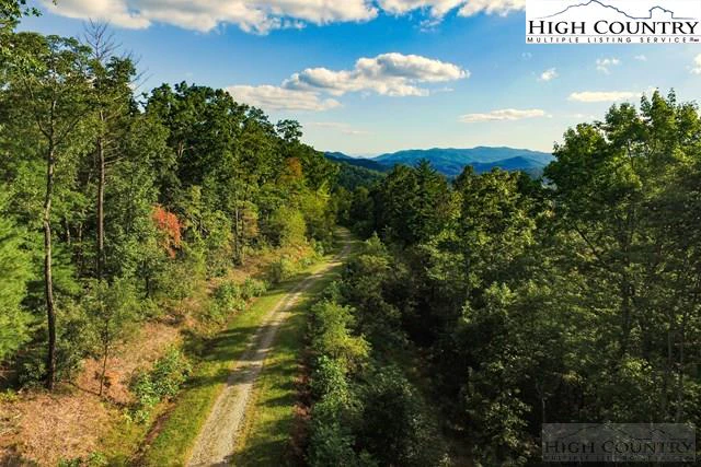 Image number 6 for the current listing