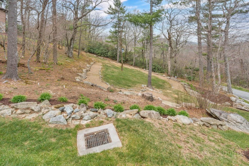 Image number 10 for the current listing