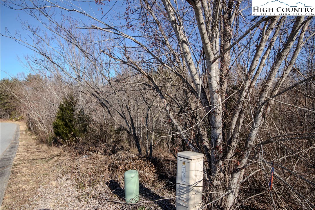 Image number 1 for the current listing