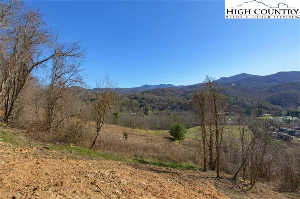 Image number 11 for the current listing