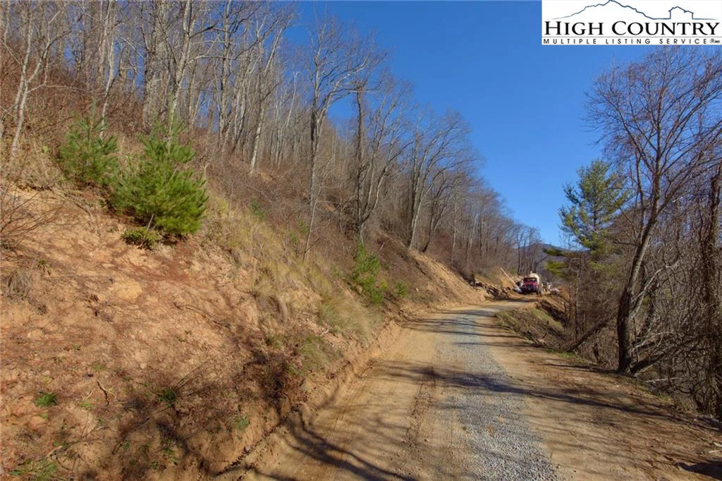 Image number 7 for the current listing