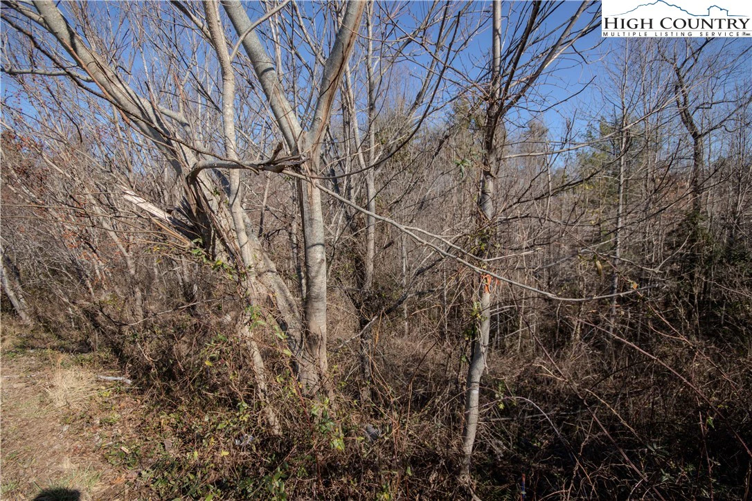 Image number 1 for the current listing