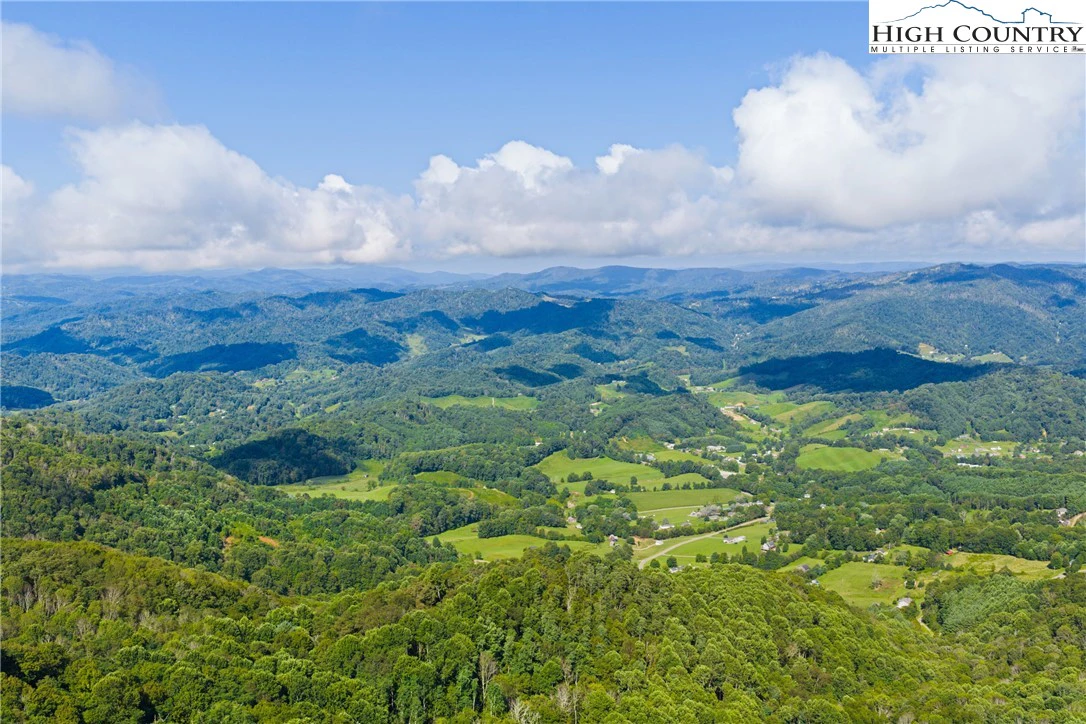 Image number 1 for the current listing