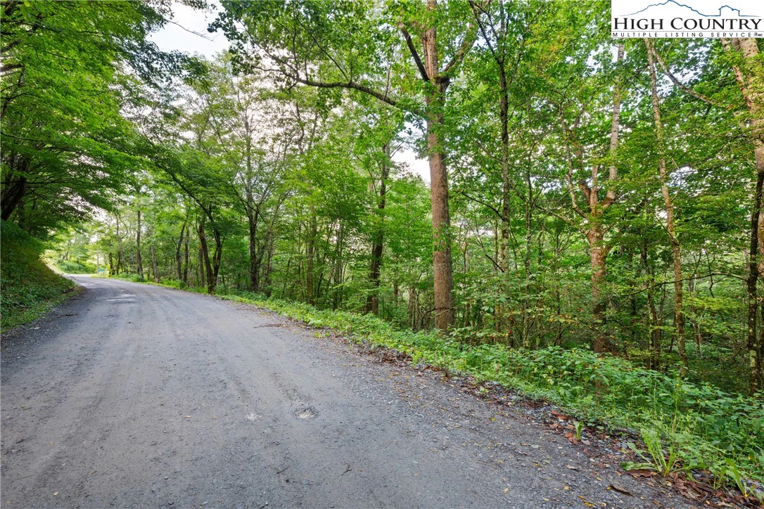 Image number 19 for the current listing