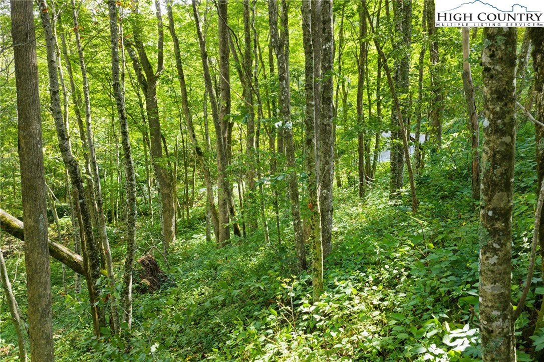 Image number 6 for the current listing