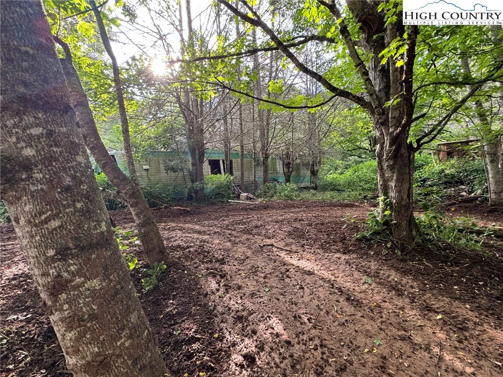 Image number 2 for the current listing