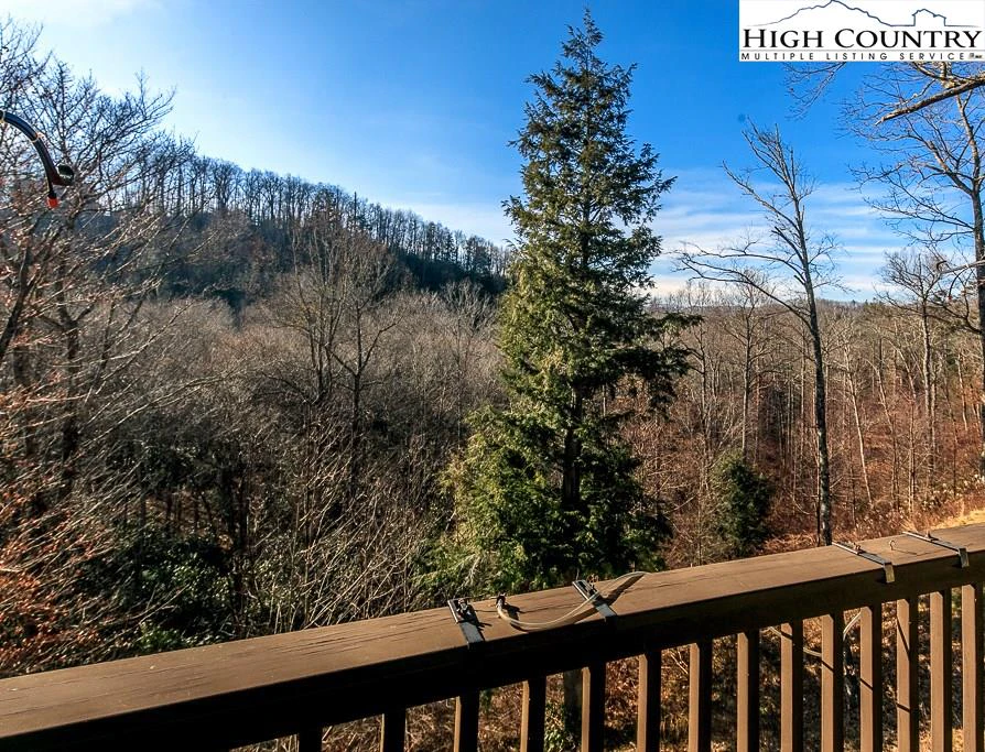Image number 2 for the current listing