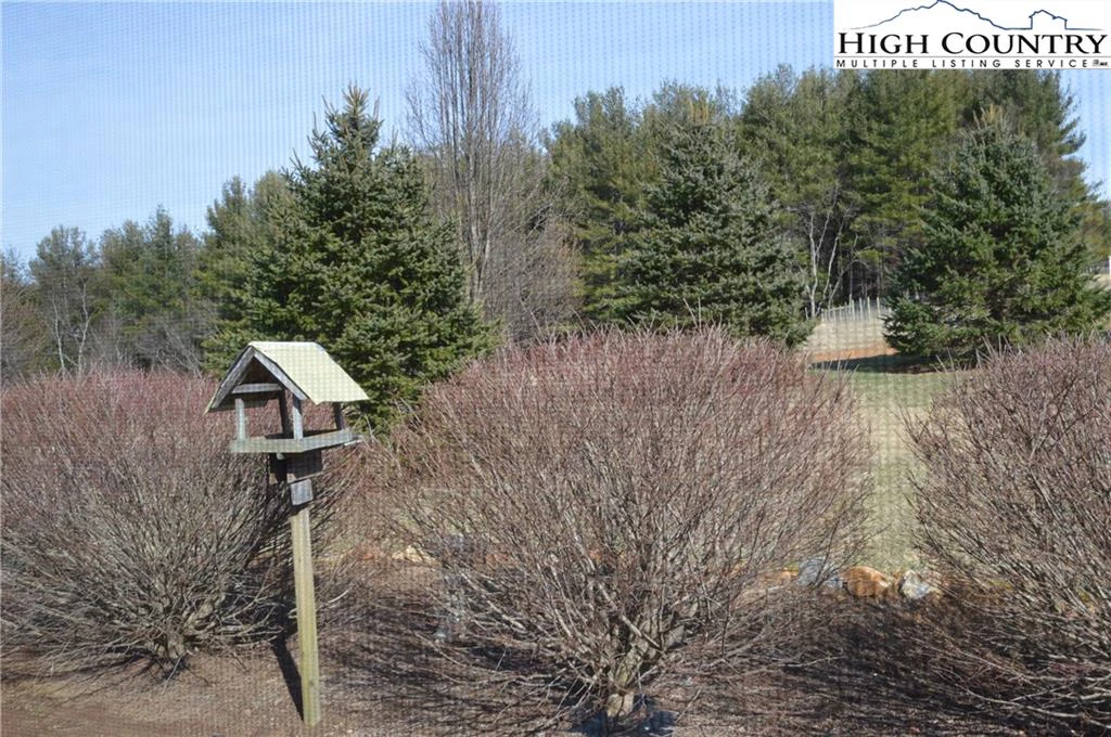 Image number 3 for the current listing