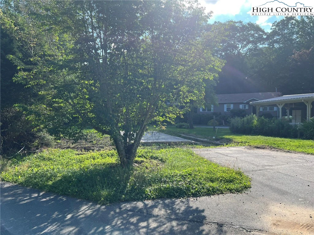 Image number 4 for the current listing