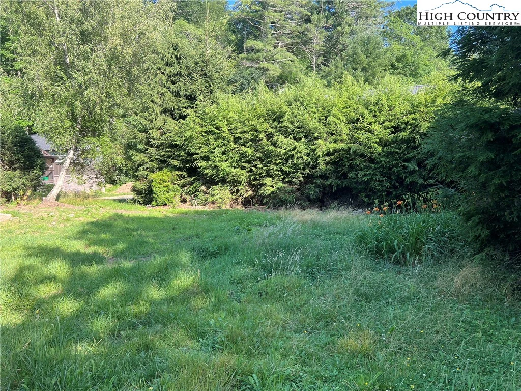 Image number 11 for the current listing