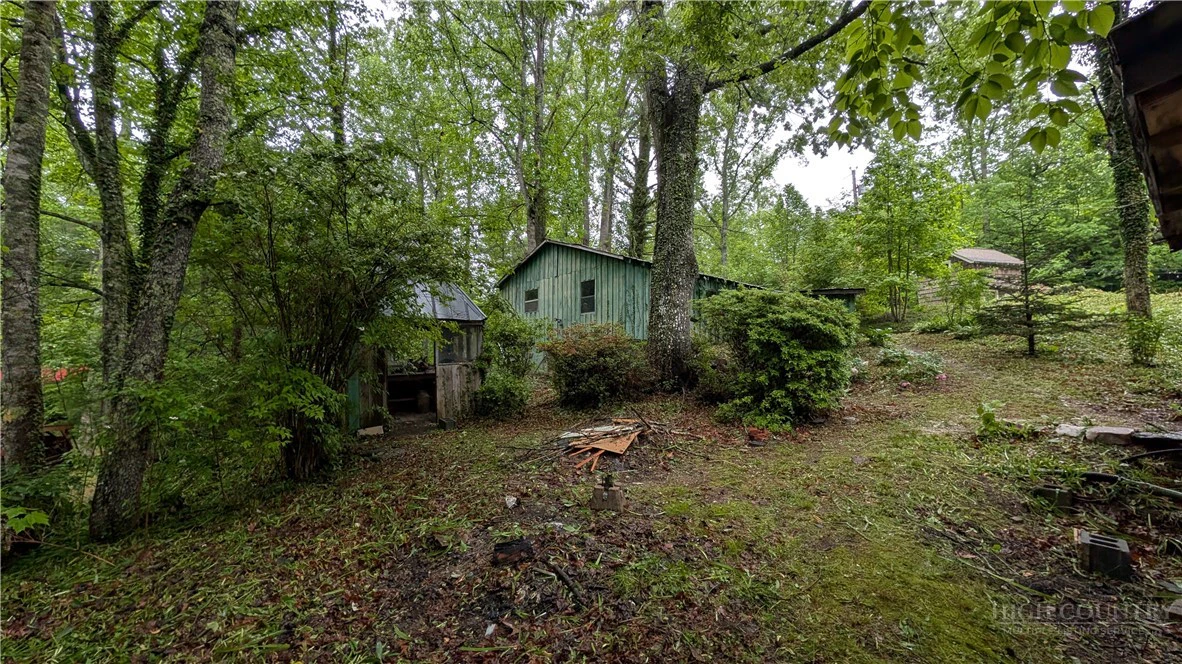 Image number 3 for the current listing