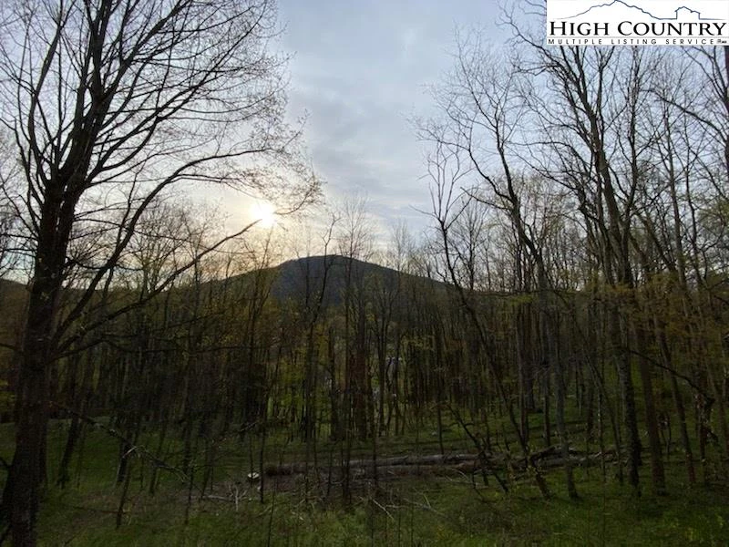 Image number 17 for the current listing