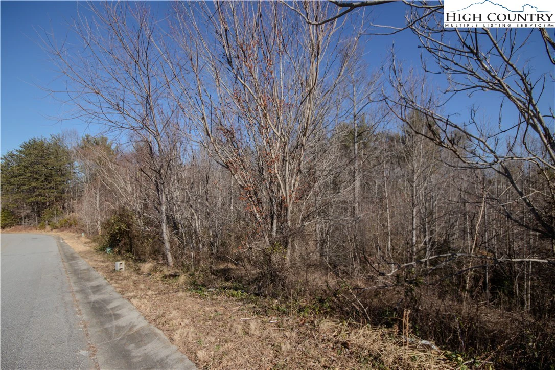 Image number 1 for the current listing