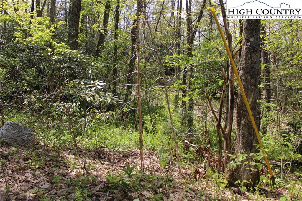 Image number 1 for the current listing