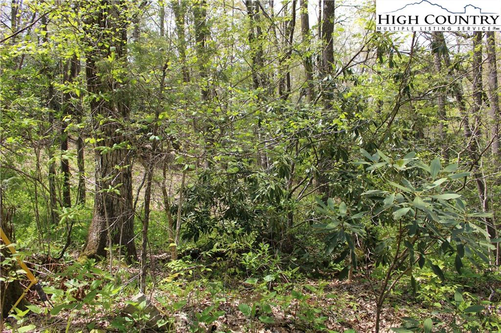 Image number 4 for the current listing