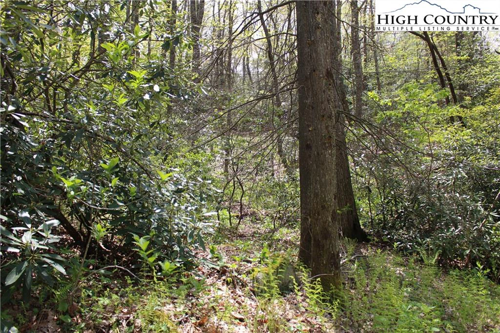 Image number 7 for the current listing