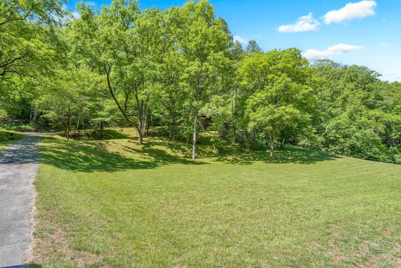 Image number 8 for the current listing