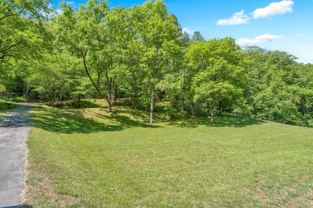 Image number 8 for the current listing