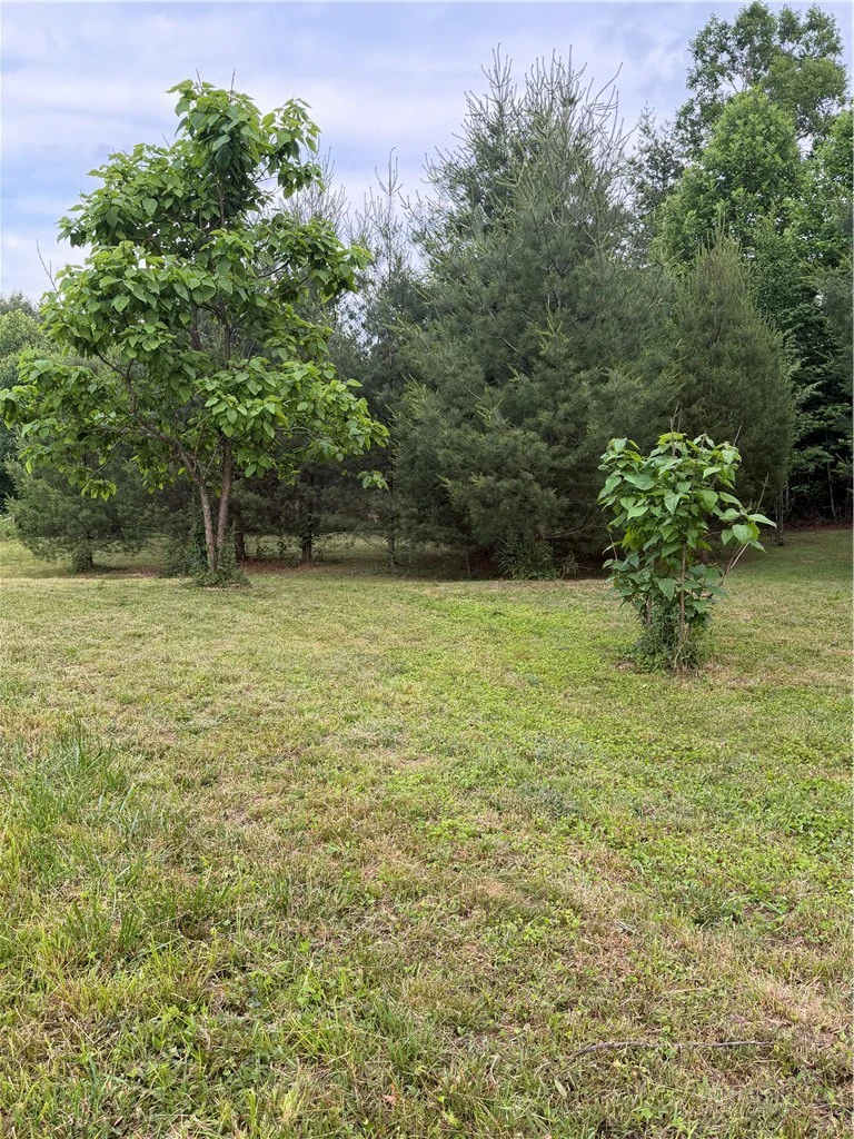 Image number 11 for the current listing