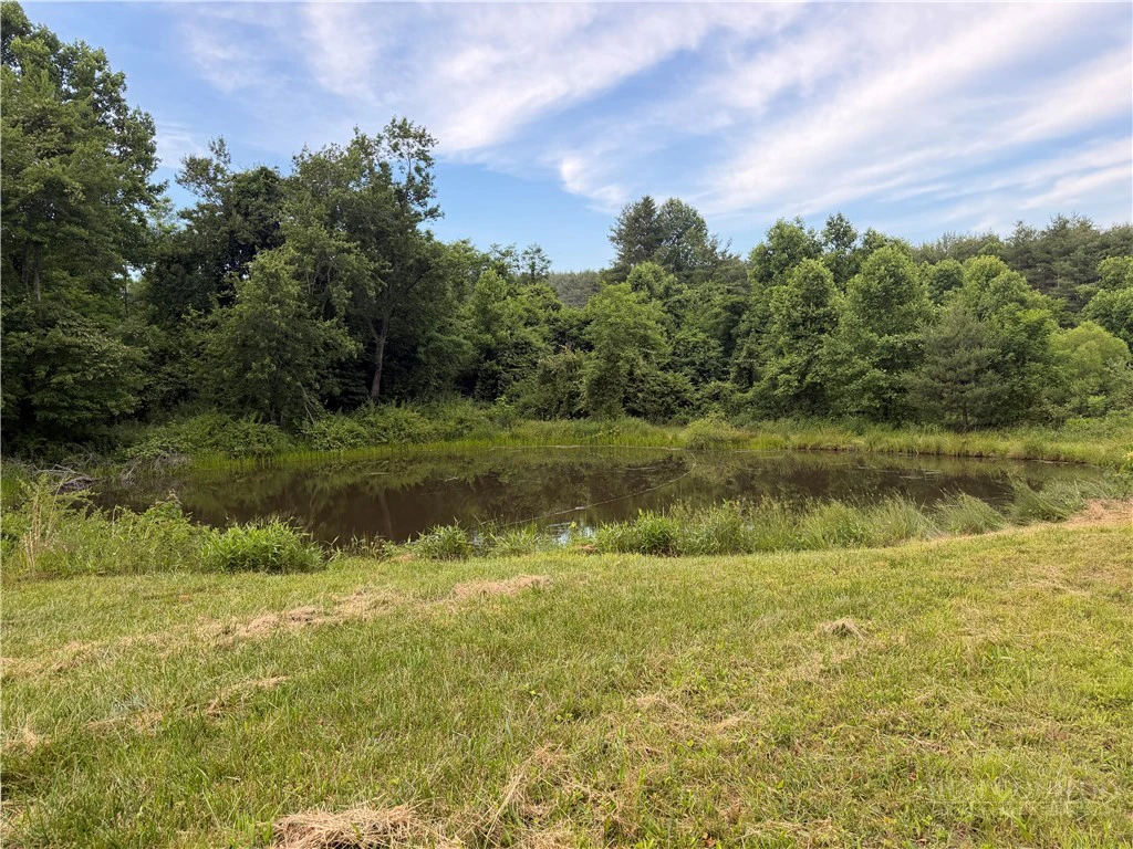 Image number 13 for the current listing