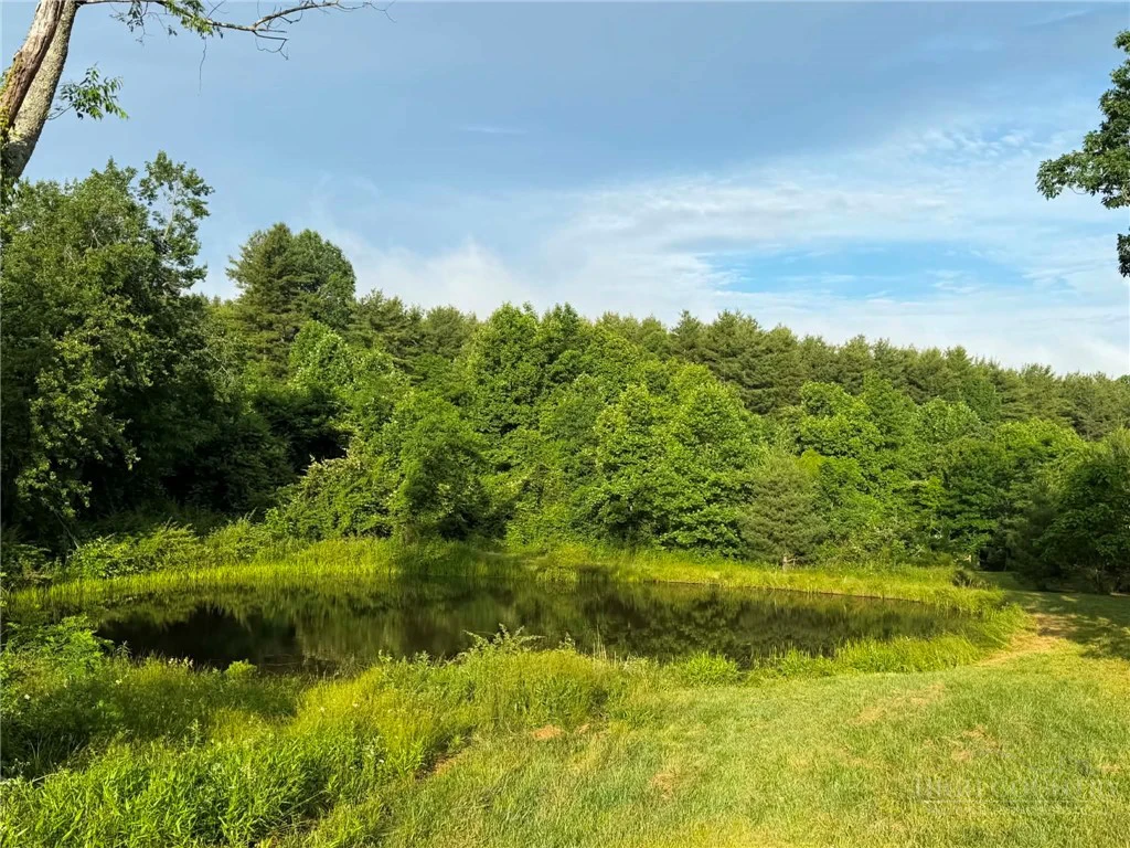 Image number 14 for the current listing