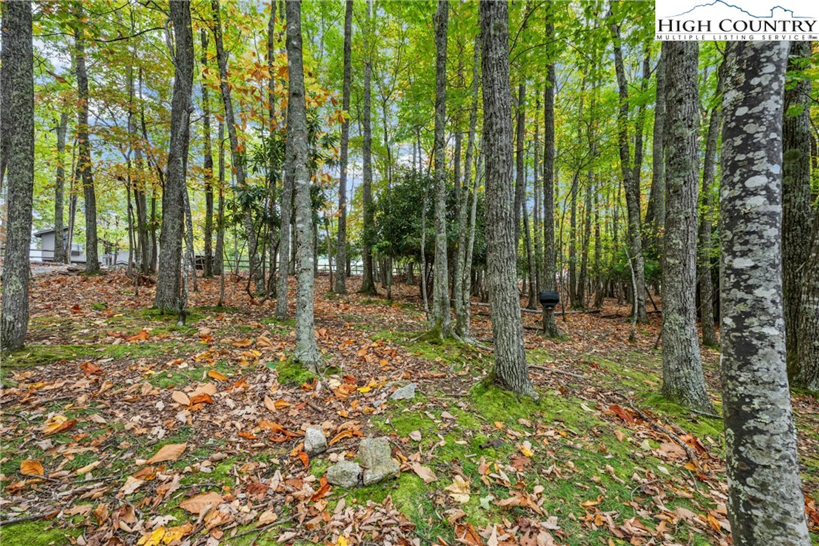 Image number 19 for the current listing