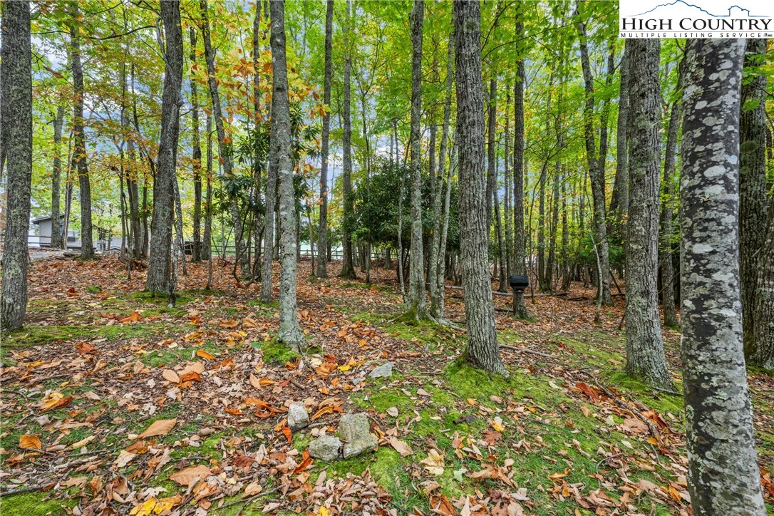 Image number 19 for the current listing