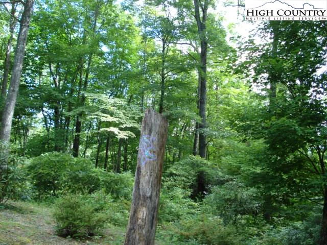 Image number 11 for the current listing