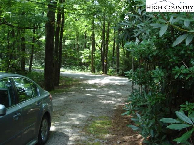 Image number 12 for the current listing