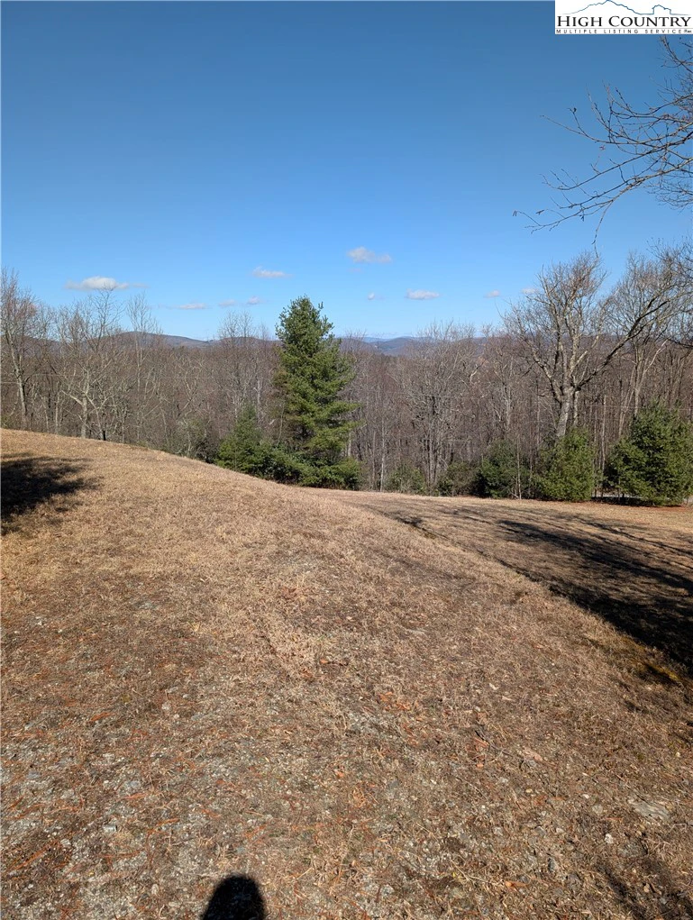 Image number 13 for the current listing