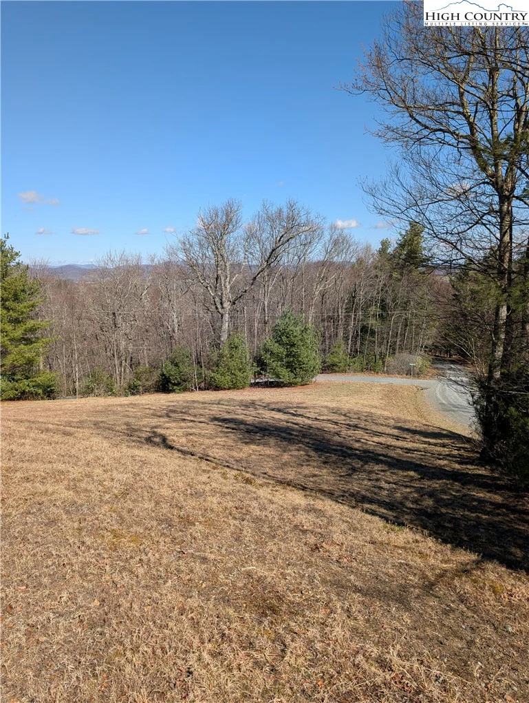 Image number 12 for the current listing