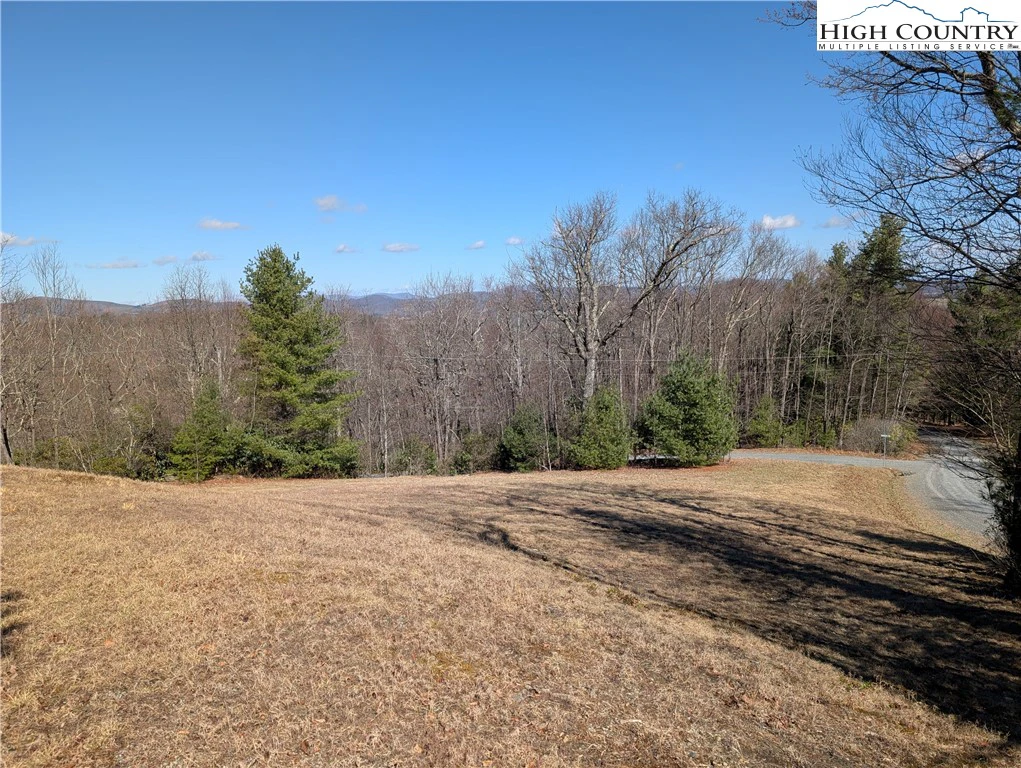 Image number 2 for the current listing