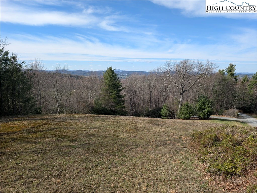 Image number 4 for the current listing
