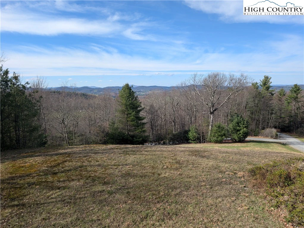 Image number 3 for the current listing