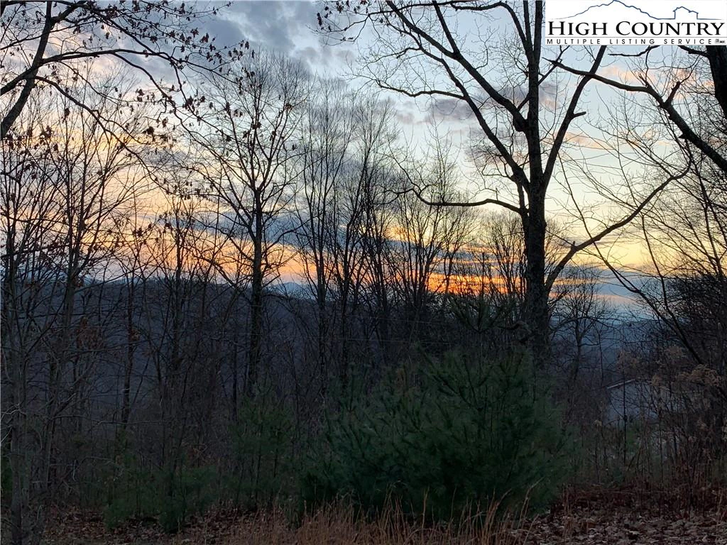 Image number 4 for the current listing