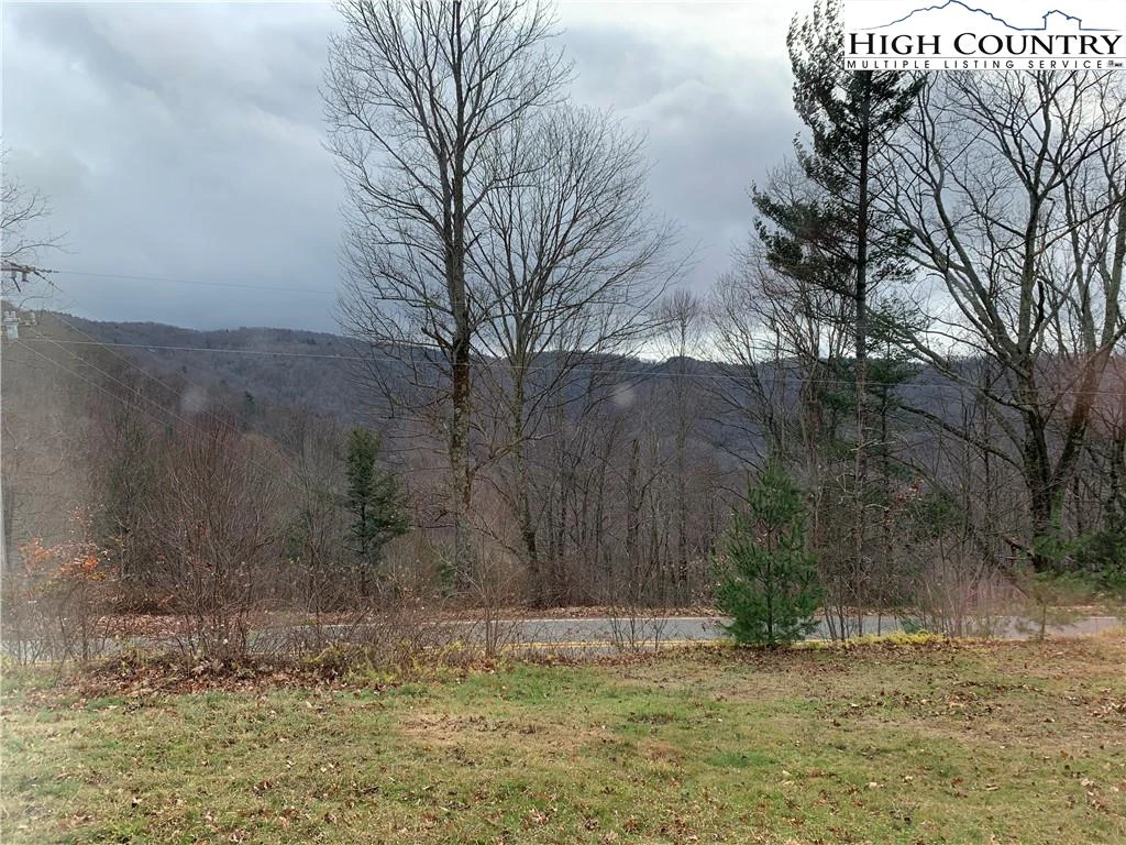 Image number 6 for the current listing