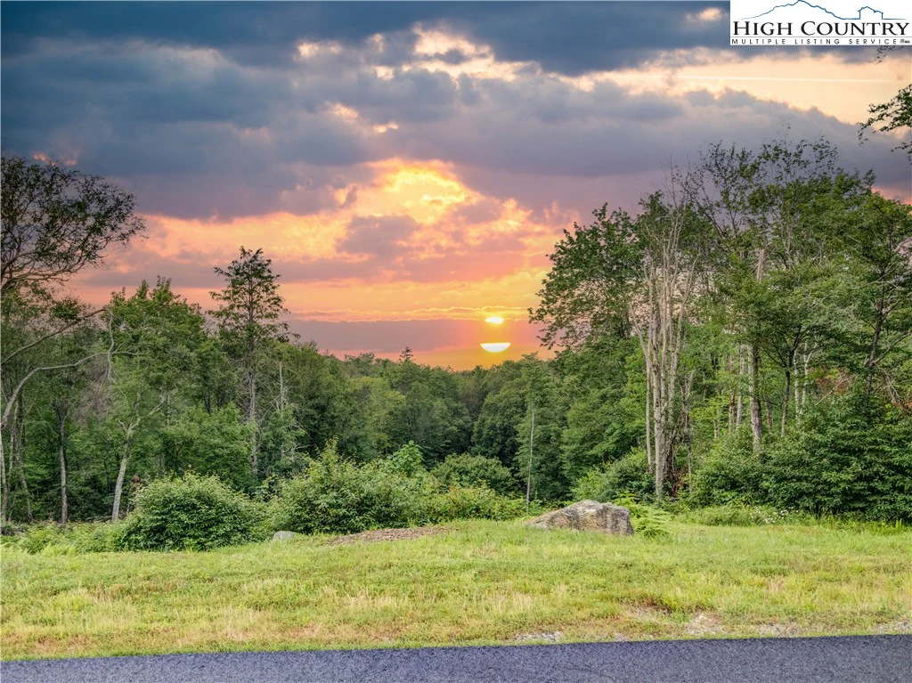 Image number 1 for the current listing