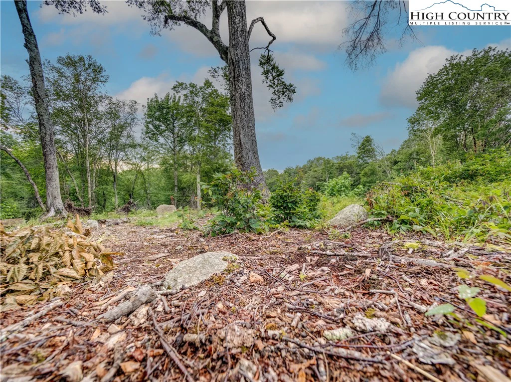 Image number 20 for the current listing