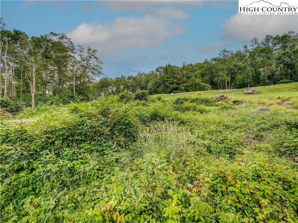 Image number 18 for the current listing