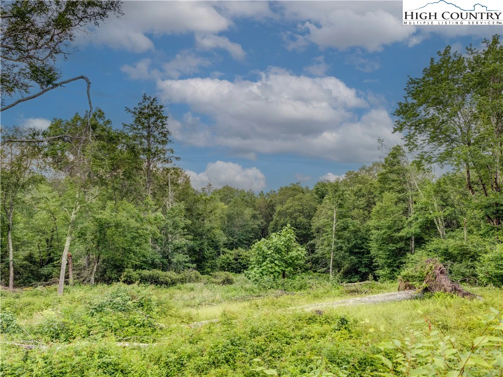 Image number 16 for the current listing