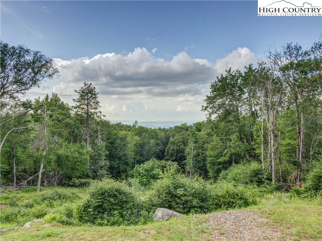 Image number 2 for the current listing