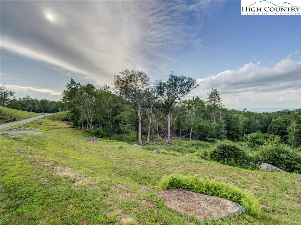 Image number 14 for the current listing