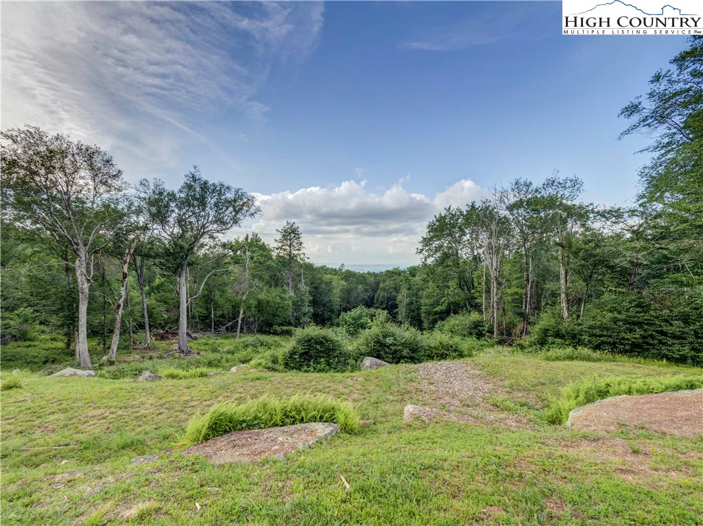 Image number 13 for the current listing