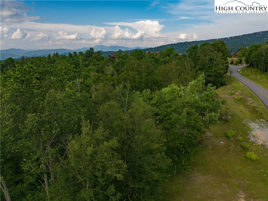 Image number 9 for the current listing